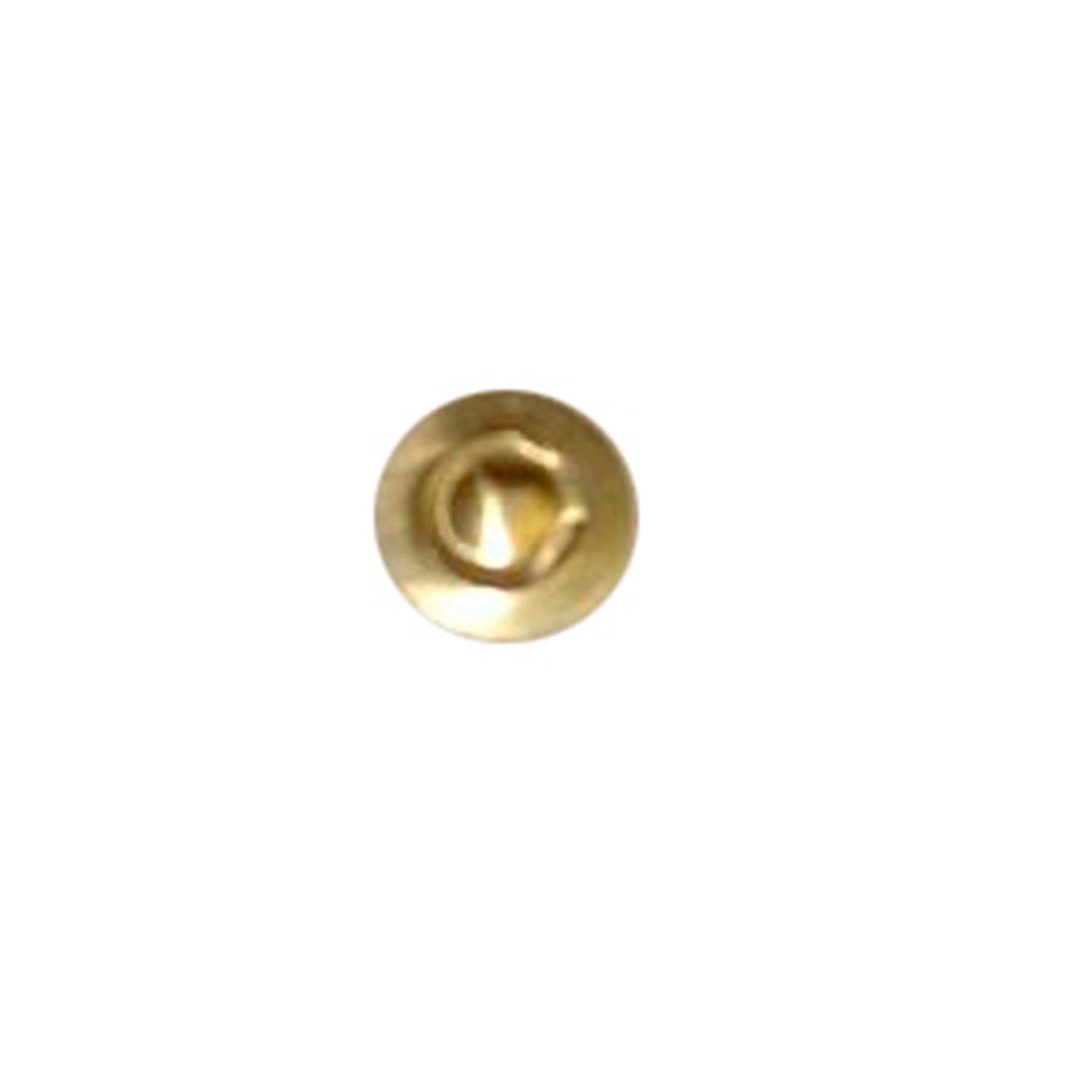 Rupture Disk