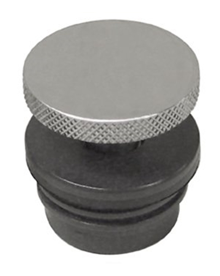Flush Mnt Rplcmnt Cap Fits 81073/79 81098-89901-903 #80024 Bung Kit