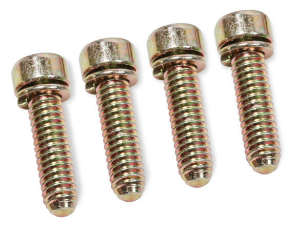 50cc Pump Cover Screws (10pk)