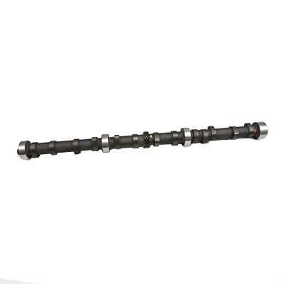 Camshaft, Mechanical Flat Tappet, Duration @.050 in. 254/254, Lift .455/.455, SB Chevrolet, Each