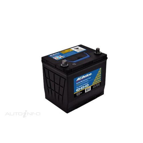 AC Delco Battery, 500 CCA, 60 Ah, 100 RC (Min), SAE Terminal, LHP, Each