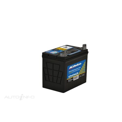 AC Delco Battery, 270 CCA, 24 Ah, 33 RC (Min), LUG Terminal, RHP, Each
