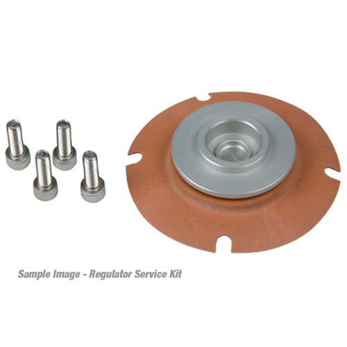 Aeromotive Regulator Rebuild Kit, for AEI-13102, AEI-13103, AEI-13152, AEI-13153, Kit