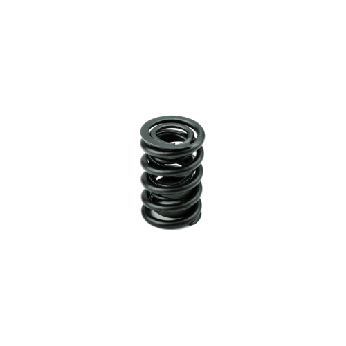 Solid Flat Tappet/Street Hydraulic Roller Spring 1.550 O.D., PAC #1924, Ea.