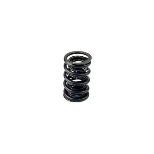 Pioneer Hydraulic Flat Tappet Spring 1.450 O.D., Ea.