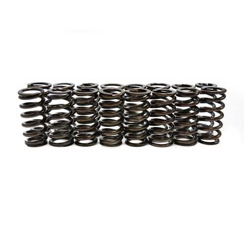 Brian Tooley Racing EXTREME 4.6 2V OVATE WIRE MODULAR VALVE SPRING SET, .600 IN. LIFT