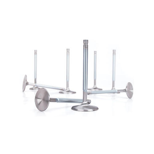 Valves, Intake, Stainless Steel, 2.02 in. Diameter, .344 in. Stem, 4.911 in. Overall Length, Set of 8