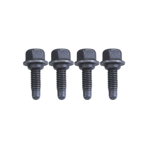 CROWCAMS Lifter Guide Bolt, LS1 to 2004, LS3/L98, L76/L77, LSA