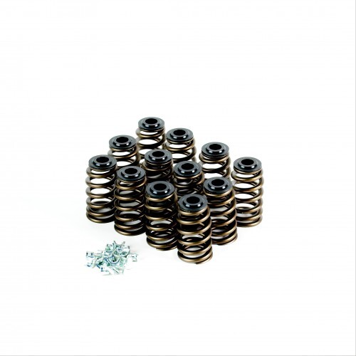 Crow Cams ECOTEC PERF SPRING KIT        