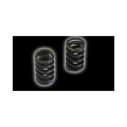 Dart Valve Spring, 1.550 2x Tall Pacaloy