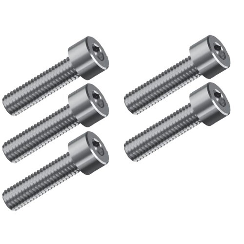 Davies Craig Bolts, M4 X 25mm, For Alloy EWP115, Suits #8710, Pack of 5