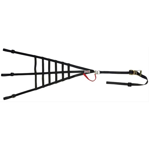 G-Force Window Net, Ribbon, Triangle, Nylon, Black, SFI 37.1, Each