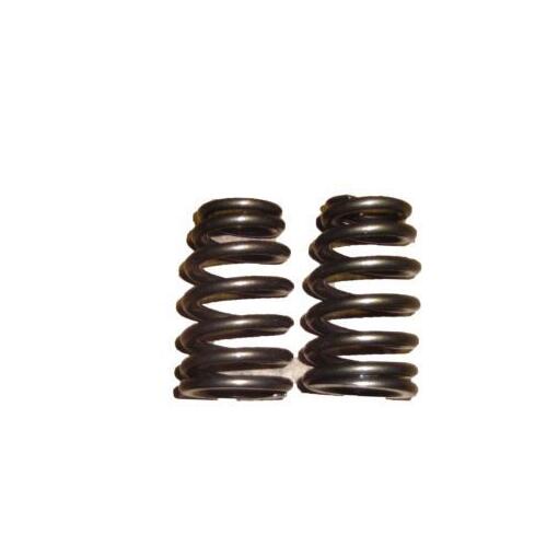 GM Performance Valve Springs,