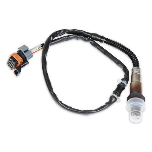 Holley EFI Oxygen Sensor Bosch LSU4 Wideband Each