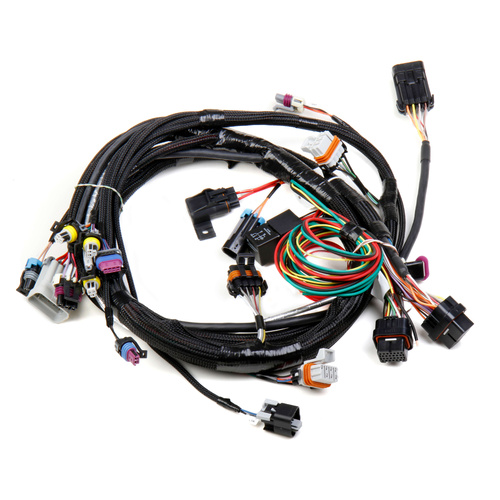 Holley EFI Wiring Harness, EFI, Main Harness, Holley HP, Dominator, For Chevrolet, For Pontiac, Kit
