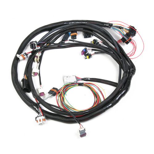 Holley EFI Wiring Harness, EFI, Main Harness, HP, Dominator, For Chevrolet, 6.0L, HLY-550-603, Kit