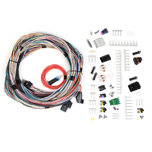 Holley EFI Main Wiring Harness, HP, Dominator, Multi-Port, Universal, Kit