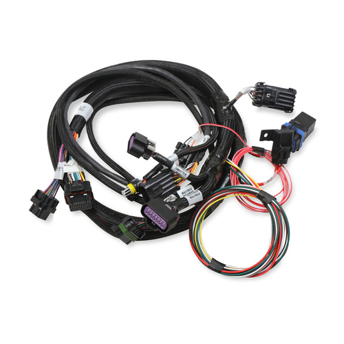 Holley EFI Fuel Injection System Wiring Harness, Multi-port, V4, Each