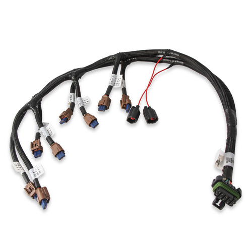 Holley EFI Comp (ala-carte), COIL HARNESS, For Ford COYOTE (2015.5+)
