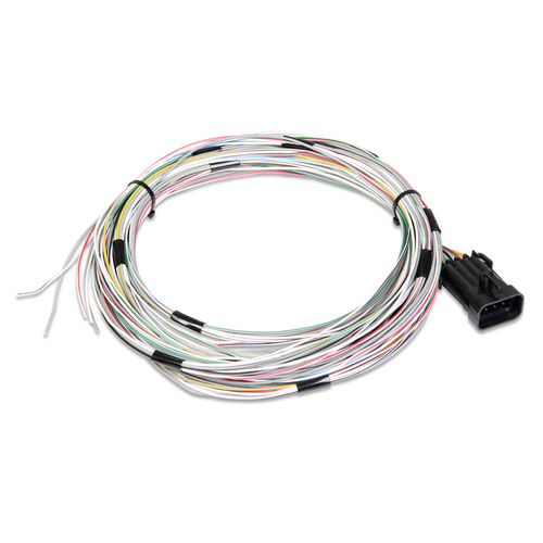 Holley EFI Wiring Harness, J1A/B Dominator, Holley, Kit