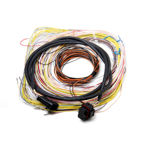 Holley EFI Wiring Harness, EFI Dominator, Holley, Kit
