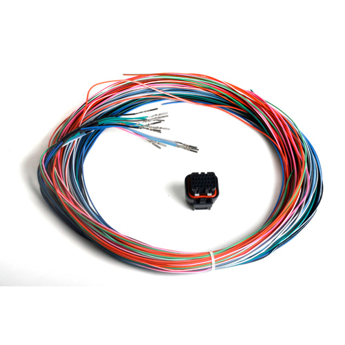 Holley EFI Wiring Harness, J2B ECU, EFI Dominator, Holley, Kit