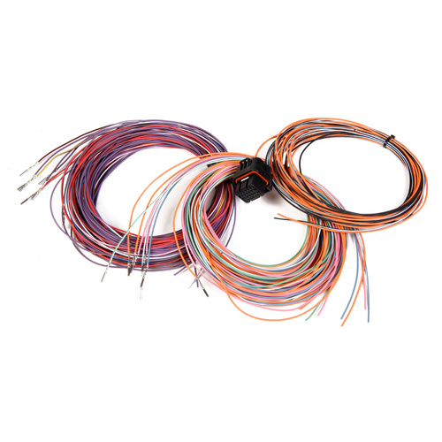 Holley EFI Wiring Harness, Dominator EFI, Auxiliary, Kit