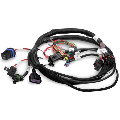 Holley EFI Engine Control Module Wiring Harness