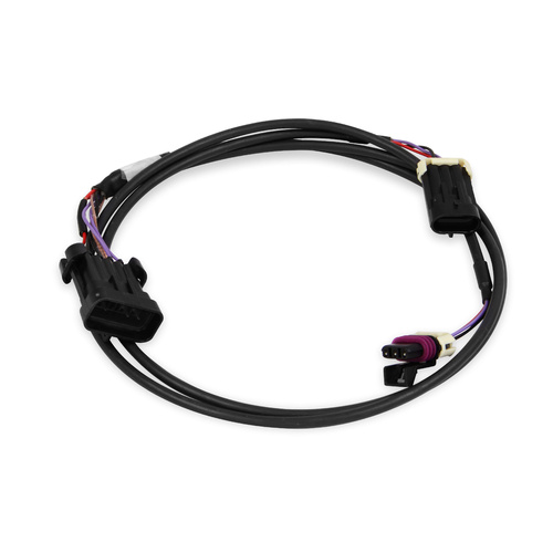 Holley EFI Ignition Harness, Ferrous Crank/Magnetic Cam, Fully Terminated, Holley HP, Dominator ECU'S,