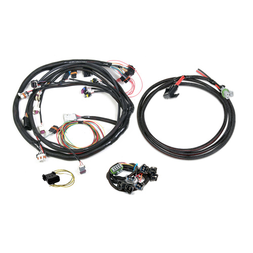 Holley EFI Harness Kit, Universal For Ford V-8, Holley HP, Dominator ECU,