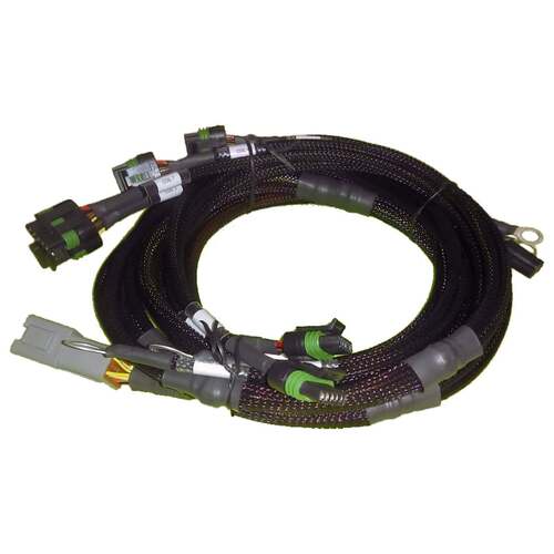 Haltech Wiring Harnesses, Elite ECU Terminated Engine Harnesses, V8 Ford Small/Big Block 8 x Individual High Output IGN-1A Inductive Coil Harness, Kit