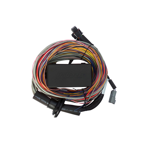 Haltech Wiring Harnesses, Elite ECU Universal Harnesses, Elite 550 Premium Universal Wire-in Harness Length: 2.5m (8'), Kit