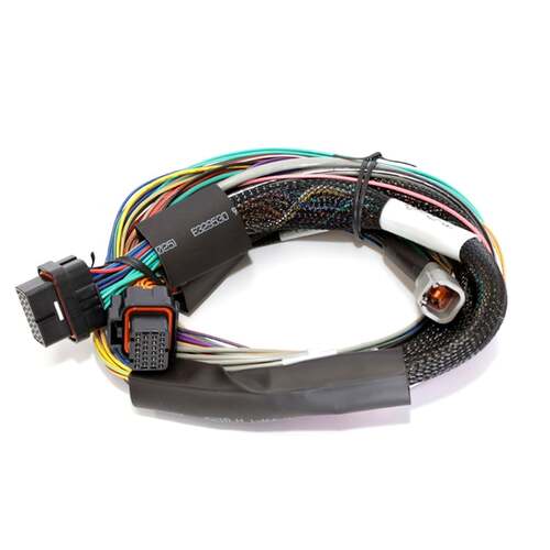 Haltech Wiring Harnesses, Elite ECU Universal Harnesses, Elite 1500 Basic Universal Wire-in Harness Length: 2.5m (8'), Kit