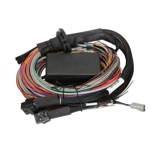 Haltech Wiring Harnesses, Elite ECU Universal Harnesses, Elite 1500 Premium Universal Wire-in Harness Length: 2.5m (8'), Kit