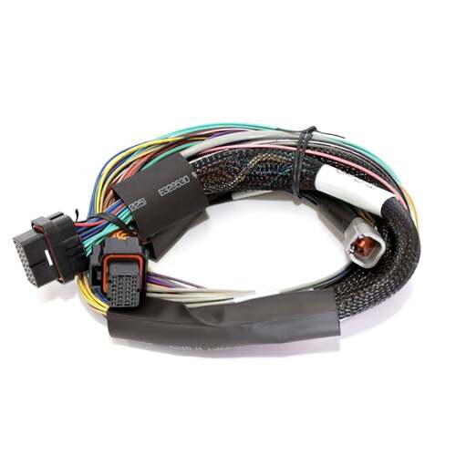 Haltech Wiring Harnesses, Elite ECU Universal Harnesses, Elite 2500 & 2500 T Basic Universal Wire-in Harness Length: 2.5m (8'), Kit