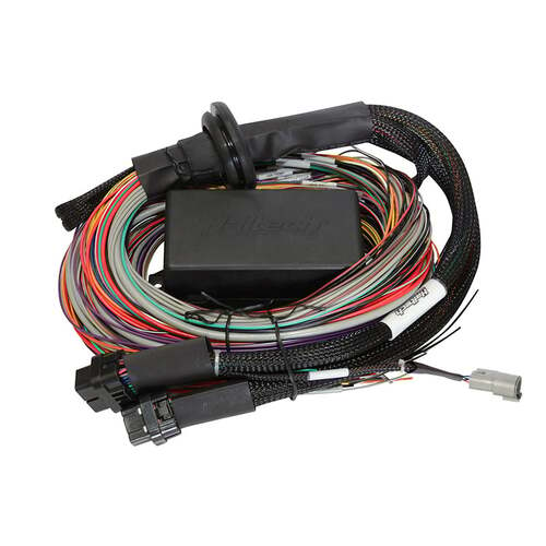 Haltech Wiring Harnesses, Elite ECU Universal Harnesses, Elite 2500 & 2500 T Premium Universal Wire-in Harness Length: 2.5m (8'), Kit