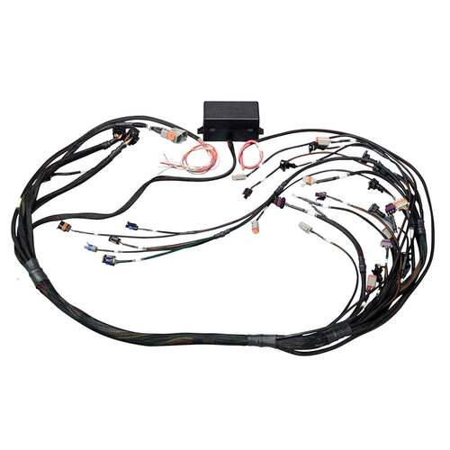 Haltech Elite ECUs, Elite 2000/2500 GM GEN IV LSx (LS2/LS3 etc) non DBW Terminated Harness Injector Connector: Bosch EV1, Kit