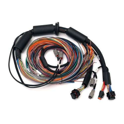 Haltech ECU + Universal Wiring Kits, Nexus R3, Nexus R3 Universal Wire-in Harness - 2.5m (8') Length: 2.5M, Kit
