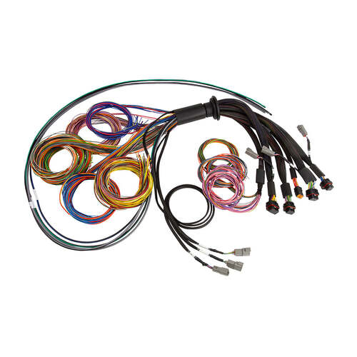Haltech Wiring Harnesses, Nexus VCU Universal Harnesses, NEXUS R5 Universal Wire-In harness Length: 2.5M, Kit