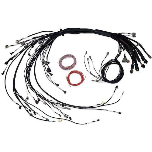 Haltech GM Gen III V8 (LS1/LS6) Terminated Engine Harness Kits, Nexus R5 LSx Non DBW Terminated Harness Injector Connector: EV1, Kit