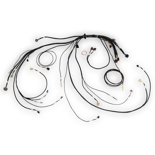 Haltech Nexus Rebel LS Terminated Harness for Nexus Rebel LS ECU