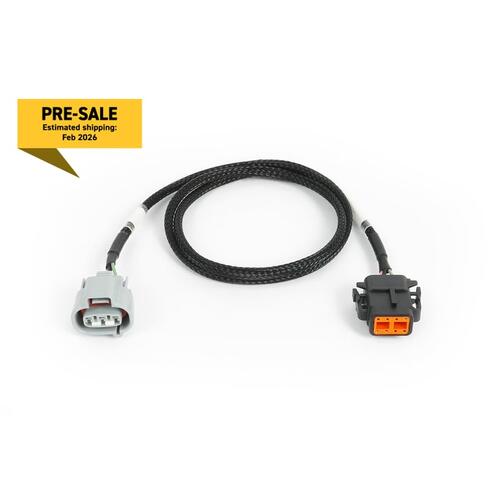 Haltech, Nexus Rebel JZ - R154 Transmission Harness