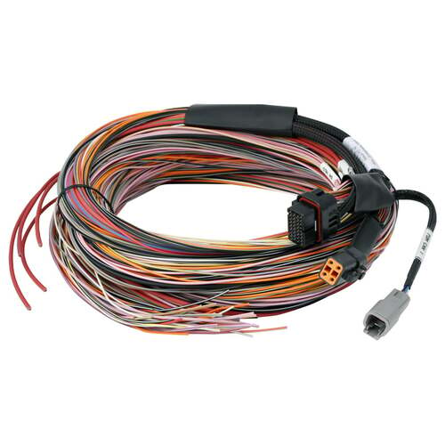 Haltech Inputs and CAN Expansion Products, Power Management, PD16 Flying Lead Harness - 5M Length: 5M / 16FT, Kit