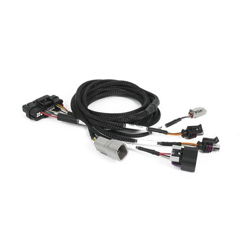 Haltech Nexus Plug-in IO Expansion Harness 2.5m (8')