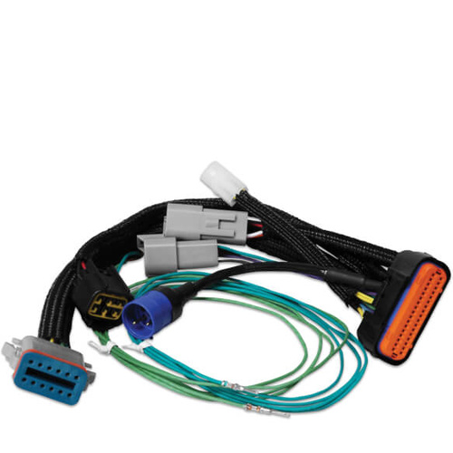 MSD Harness Adapter, 7730 to Digital-7 Prog