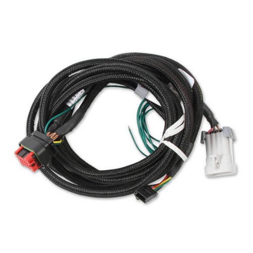 MSD Harness, LS-Input, Can, Replacement, 8000