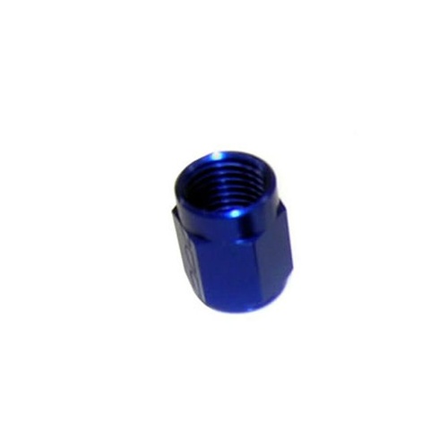 Nitrous Express Adapter Fitting; Pipe Fitting; B-Nut; -3 AN; Blue