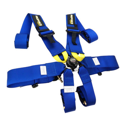 Proforce Racing Harness, SFI,FIA & CAMS Approved,exp 2024/25 6 Point Camlock, Individual-Type, Bolt-In, Floor or Roll Bar Mount, Blue, Each