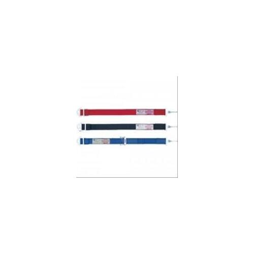 Simpson Camlock Anti-Submarine Belts 34015R Harness, Submarine Belt, Camlock, Bolt-In, Floor Mount, Red, Each