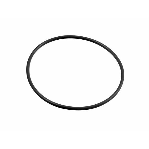 Sonnax O-Ring, ZF, F&S ZF5-Hp24, Each